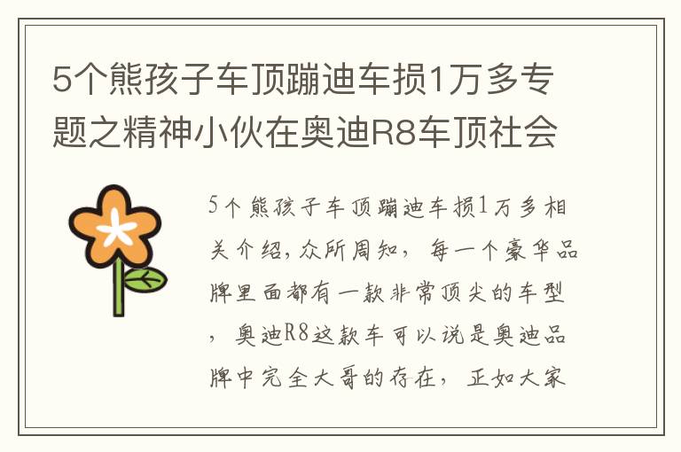 5个熊孩子车顶蹦迪车损1万多专题之精神小伙在奥迪R8车顶社会摇，车损高达20万，醒酒后哥俩哭了文章配图