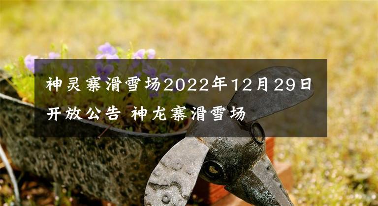 神灵寨滑雪场2022年12月29日开放公告 神龙寨滑雪场