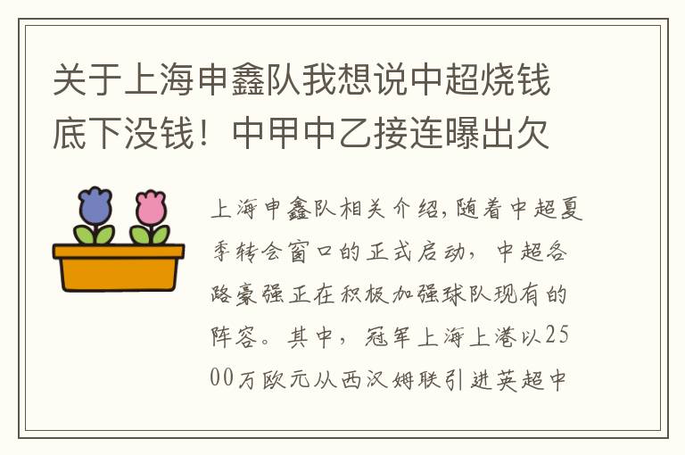 关于上海申鑫队我想说中超烧钱底下没钱！中甲中乙接连曝出欠薪，上海申鑫最快下周解散文章配图