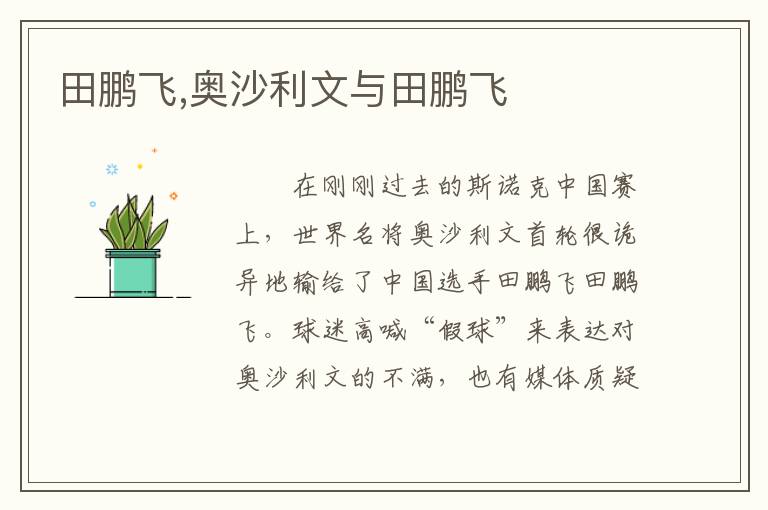 田鹏飞,奥沙利文与田鹏飞文章配图
