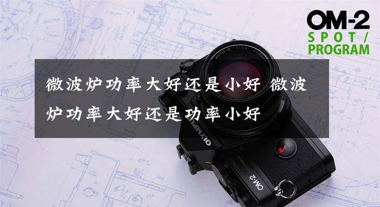 微波炉功率大好还是小好 微波炉功率大好还是功率小好文章配图