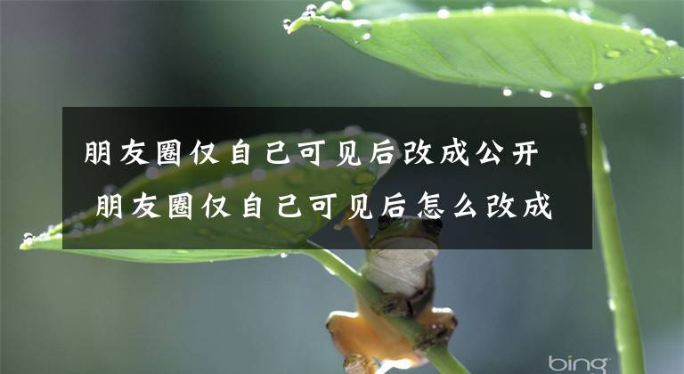 朋友圈仅自己可见后改成公开 朋友圈仅自己可见后怎么改成公开文章配图