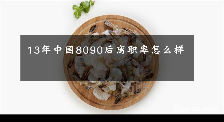 13年中国8090后离职率怎么样文章配图