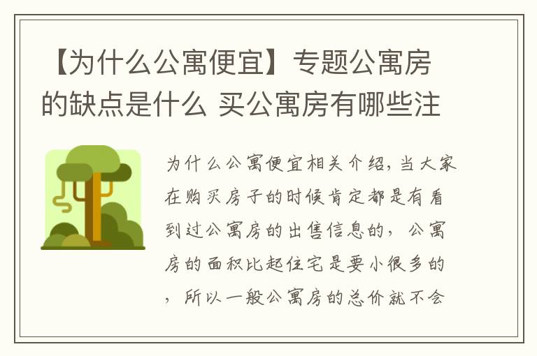 【为什么公寓便宜】专题公寓房的缺点是什么 买公寓房有哪些注意事项