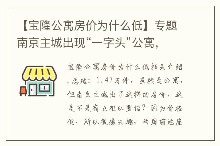 【宝隆公寓房价为什么低】专题南京主城出现“一字头”公寓，价格不到普通商品房的一半