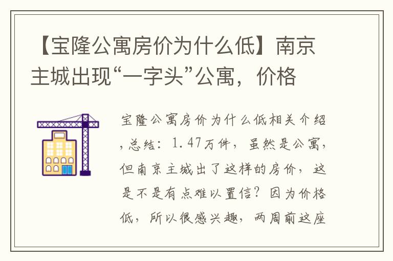 【宝隆公寓房价为什么低】南京主城出现“一字头”公寓，价格不到普通商品房的一半