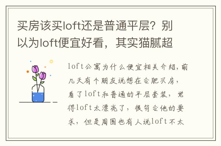 买房该买loft还是普通平层？别以为loft便宜好看，其实猫腻超多！