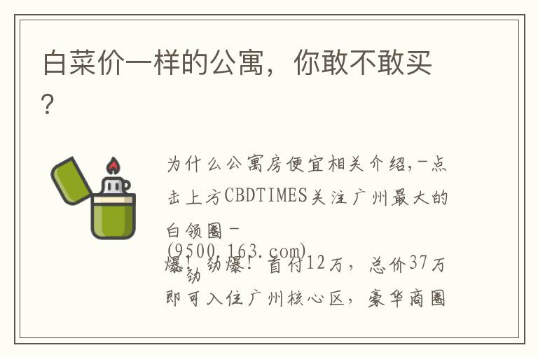 白菜价一样的公寓，你敢不敢买？文章配图