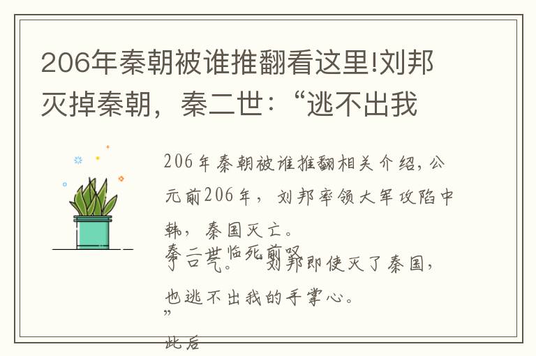 206年秦朝被谁推翻看这里!刘邦灭掉秦朝，秦二世：“逃不出我的手掌心”，7年后果然应验