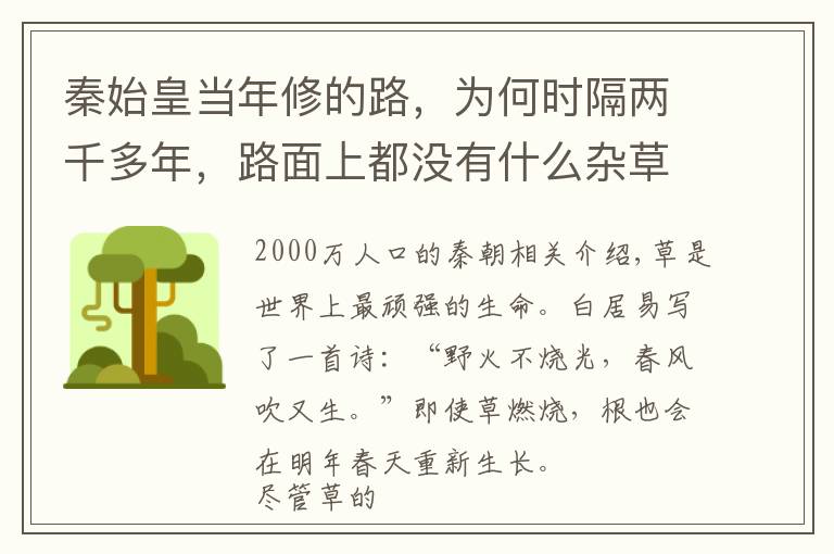 秦始皇当年修的路，为何时隔两千多年，路面上都没有什么杂草？