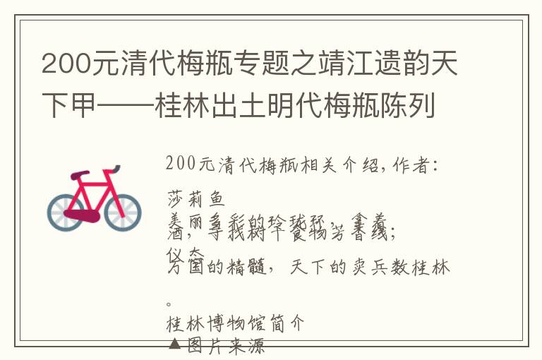 200元清代梅瓶专题之靖江遗韵天下甲——桂林出土明代梅瓶陈列（上）