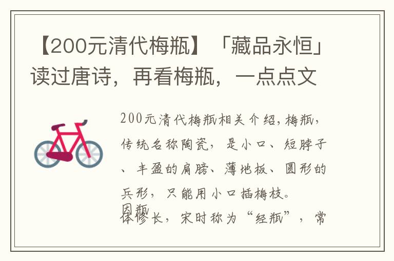 【200元清代梅瓶】「藏品永恒」读过唐诗，再看梅瓶，一点点文化的浸入让人赏心悦目