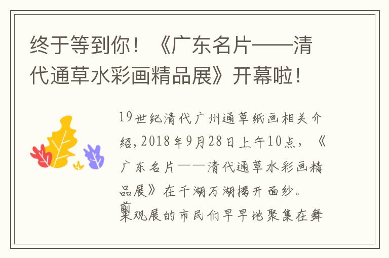 终于等到你！《广东名片——清代通草水彩画精品展》开幕啦！文章配图