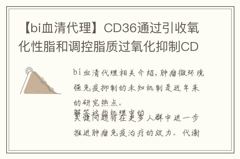 【bi血清代理】CD36通过引收氧化性脂和调控脂质过氧化抑制CD8 T细胞的抗肿瘤功能