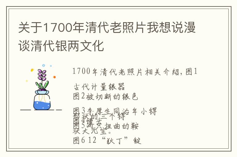 关于1700年清代老照片我想说漫谈清代银两文化