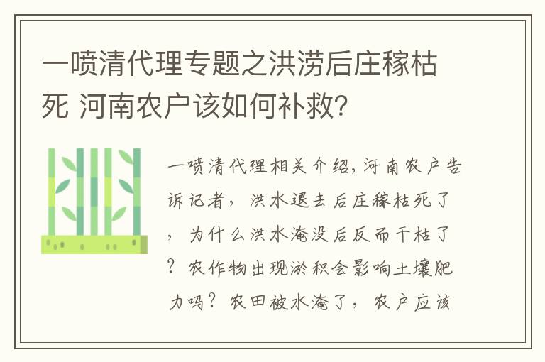 一喷清代理专题之洪涝后庄稼枯死 河南农户该如何补救？