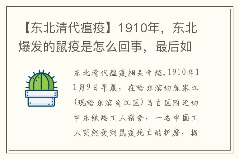 【东北清代瘟疫】1910年，东北爆发的鼠疫是怎么回事，最后如何消灭的？