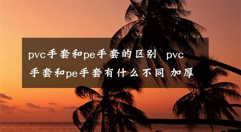 pvc手套和pe手套的区别 pvc手套和pe手套有什么不同 加厚一次性手套