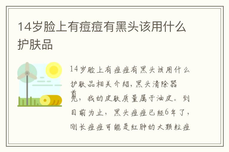 14岁脸上有痘痘有黑头该用什么护肤品文章配图