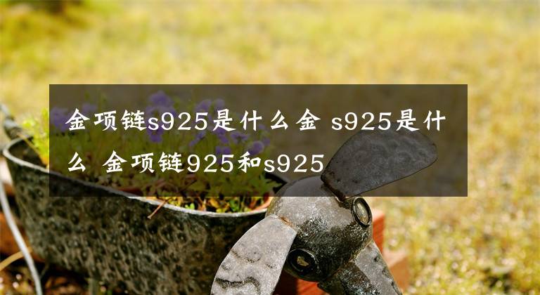 金项链s925是什么金 s925是什么 金项链925和s925