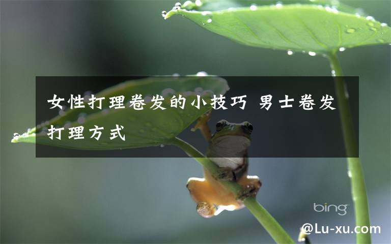 女性打理卷发的小技巧 男士卷发打理方式文章配图