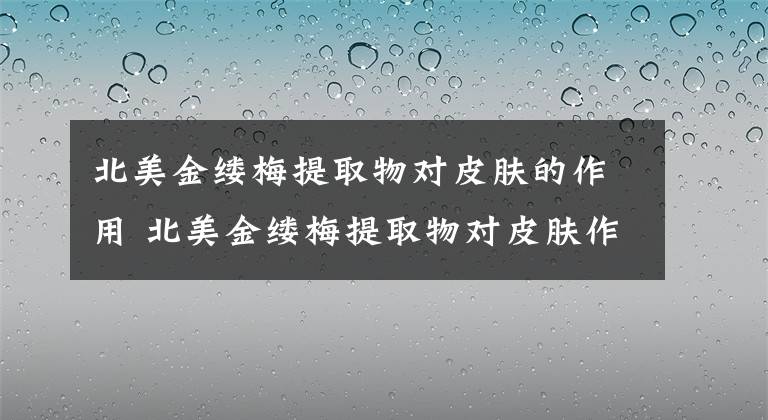 北美金缕梅提取物对皮肤的作用 北美金缕梅提取物对皮肤作用