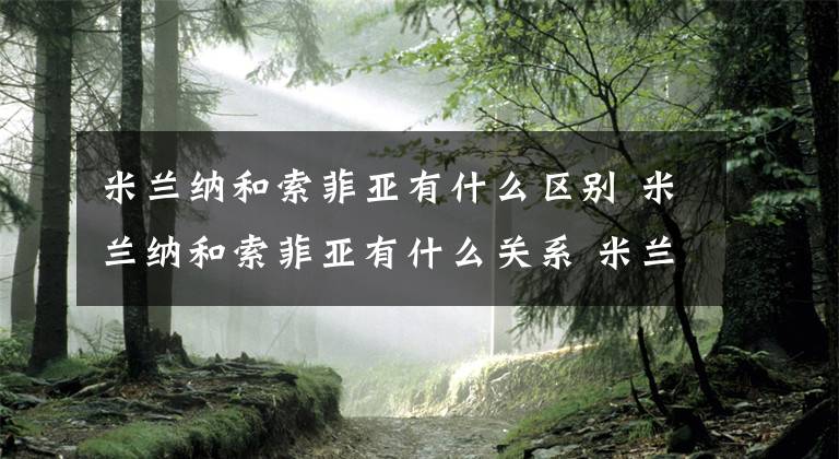 米兰纳和索菲亚有什么区别 米兰纳和索菲亚有什么关系 米兰纳和索菲亚工厂在一起吗