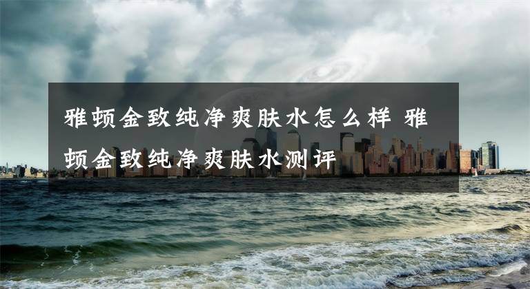 雅顿金致纯净爽肤水怎么样 雅顿金致纯净爽肤水测评文章配图