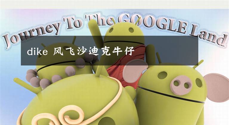 dike 风飞沙迪克牛仔文章配图