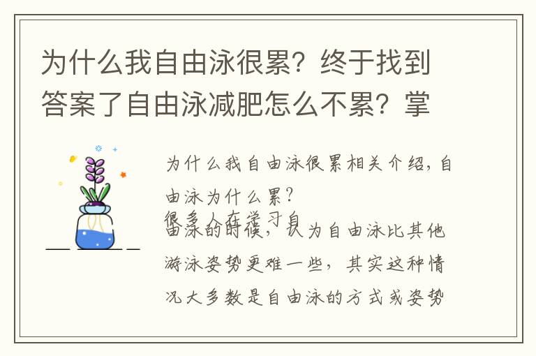 为什么我自由泳很累？终于找到答案了自由泳减肥怎么不累？掌握动作要领就好了