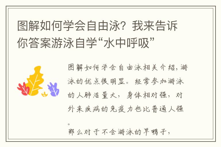 图解如何学会自由泳？我来告诉你答案游泳自学“水中呼吸”