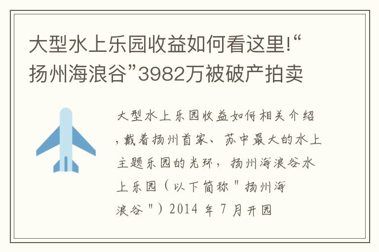 大型水上乐园收益如何看这里!“扬州海浪谷”3982万被破产拍卖，曾是苏中最大水上乐园