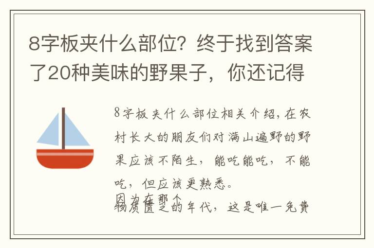 8字板夹什么部位？终于找到答案了20种美味的野果子，你还记得几种？一起来认识下，涨知识不吃亏