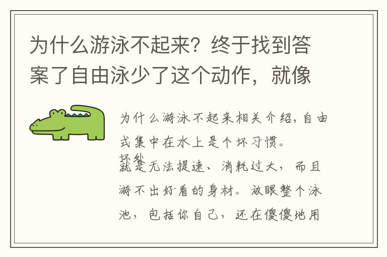 为什么游泳不起来？终于找到答案了自由泳少了这个动作，就像车子少了前轮，想快也快不起来