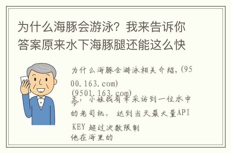 为什么海豚会游泳？我来告诉你答案原来水下海豚腿还能这么快！海上老司机独家专访