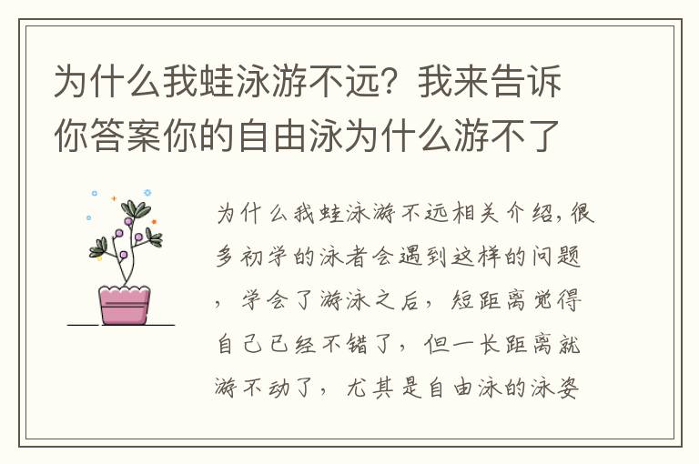 为什么我蛙泳游不远？我来告诉你答案你的自由泳为什么游不了长距离？