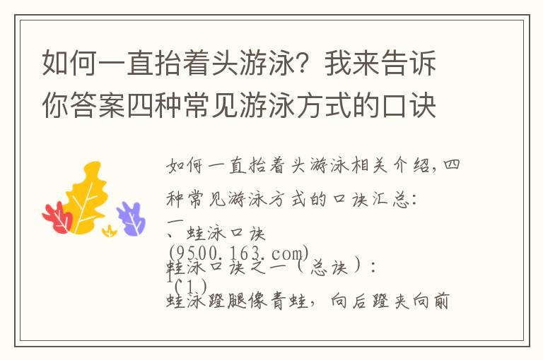 如何一直抬着头游泳？我来告诉你答案四种常见游泳方式的口诀汇总