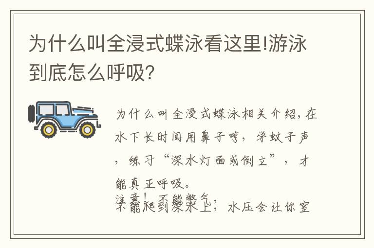 为什么叫全浸式蝶泳看这里!游泳到底怎么呼吸？