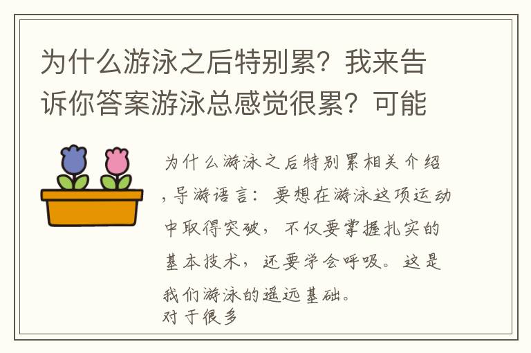 为什么游泳之后特别累？我来告诉你答案游泳总感觉很累？可能是呼吸搞的鬼，我来告诉你怎么练