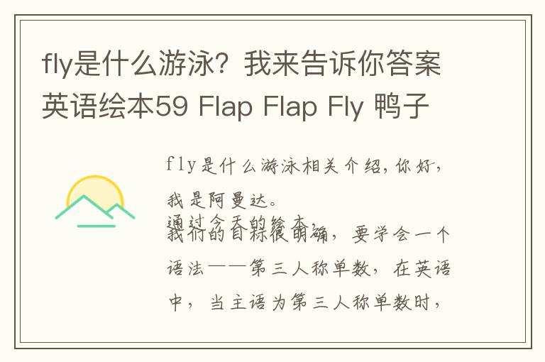 fly是什么游泳？我来告诉你答案英语绘本59 Flap Flap Fly 鸭子妈妈来教我们第三人称单数