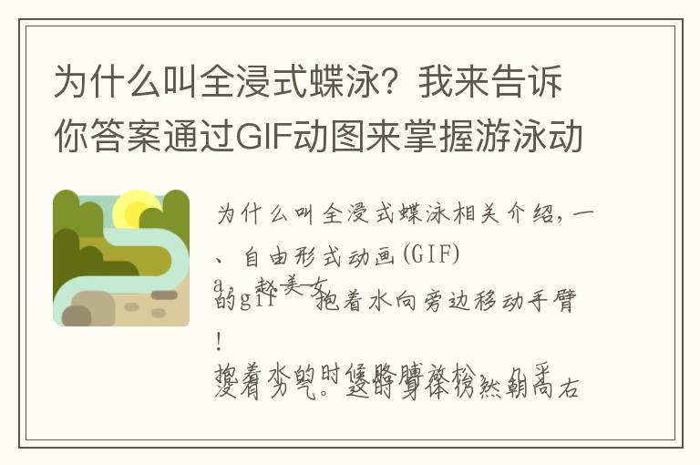 为什么叫全浸式蝶泳？我来告诉你答案通过GIF动图来掌握游泳动作