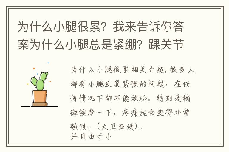 为什么小腿很累？我来告诉你答案为什么小腿总是紧绷？踝关节活动受限？