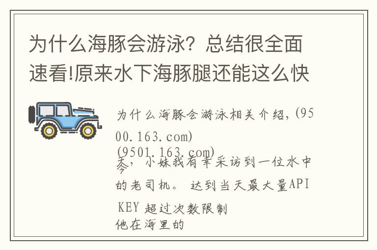 为什么海豚会游泳？总结很全面速看!原来水下海豚腿还能这么快！海上老司机独家专访