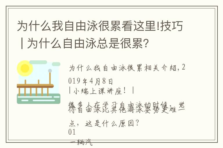 为什么我自由泳很累看这里!技巧 | 为什么自由泳总是很累？