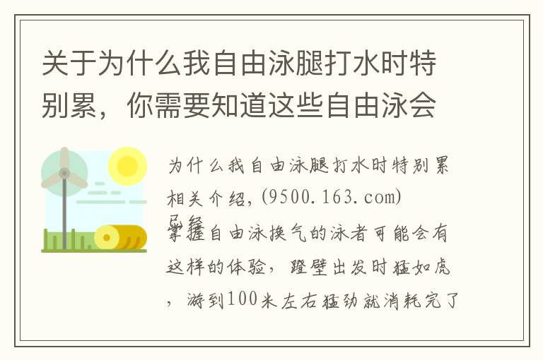 关于为什么我自由泳腿打水时特别累，你需要知道这些自由泳会换气却越游越累，常见的三个主要原因