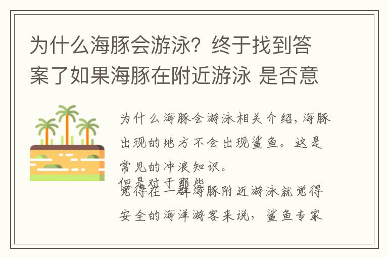 为什么海豚会游泳？终于找到答案了如果海豚在附近游泳 是否意味着鲨鱼不在附近