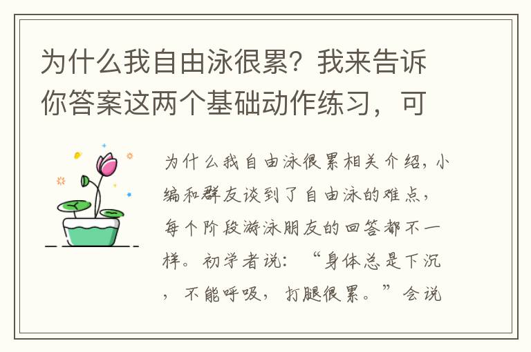 为什么我自由泳很累？我来告诉你答案这两个基础动作练习，可以改变你的身体“拧麻花”