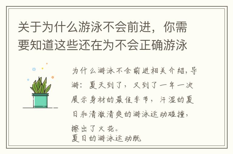 关于为什么游泳不会前进，你需要知道这些还在为不会正确游泳烦恼？看完这篇，轻松学会游泳