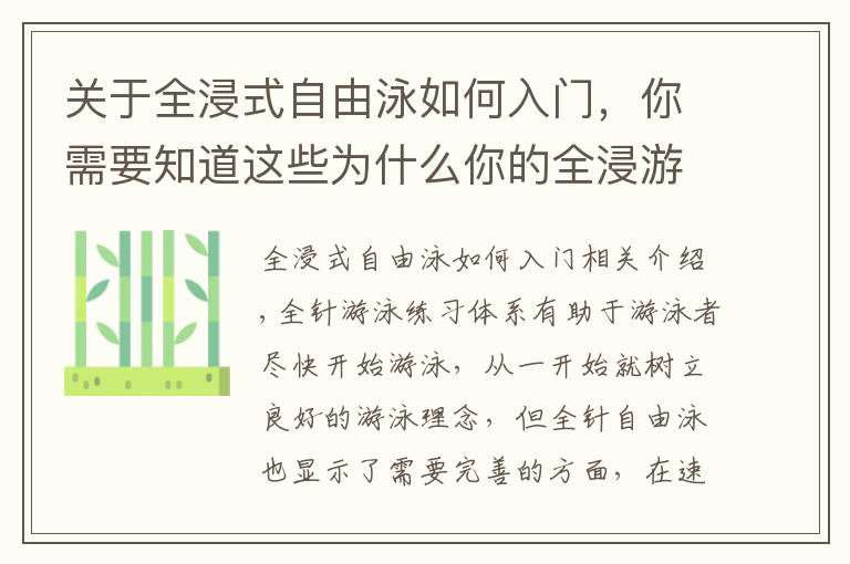 关于全浸式自由泳如何入门，你需要知道这些为什么你的全浸游泳快不起来？专注度需要及时转移