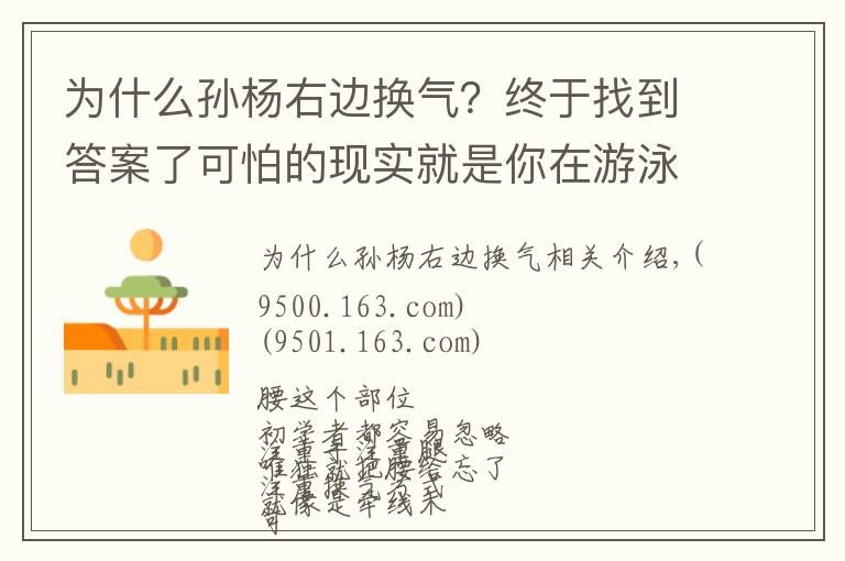 为什么孙杨右边换气？终于找到答案了可怕的现实就是你在游泳中塌腰！急需这3种方法帮你纠正